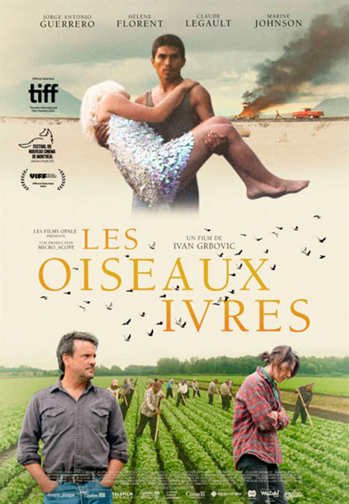 Les oiseaux ivres